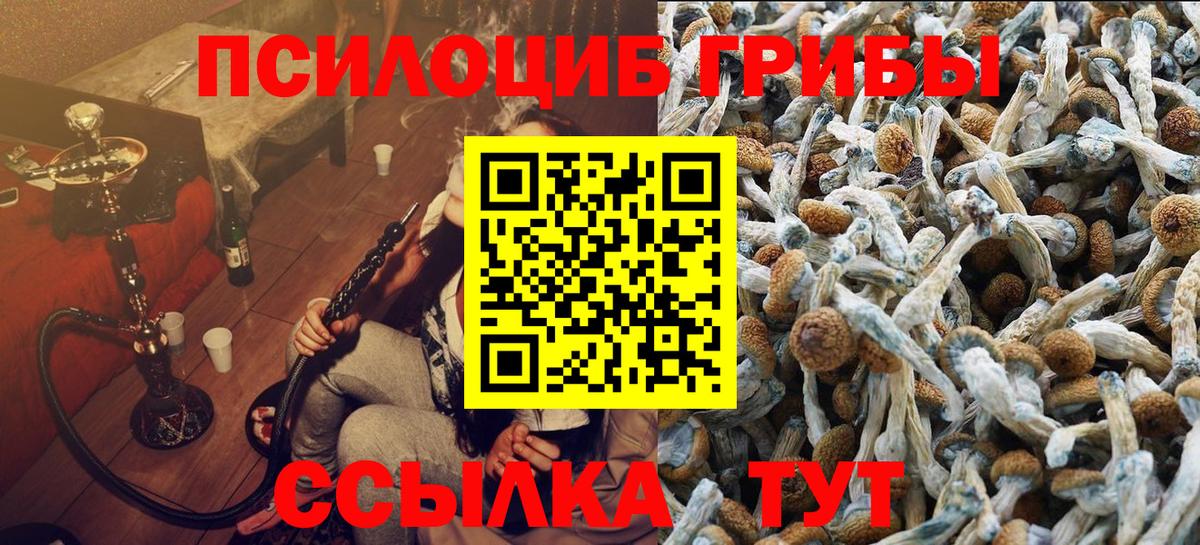 Галлюциногенные грибы Cubensis  Вход с VPN  Урай 
