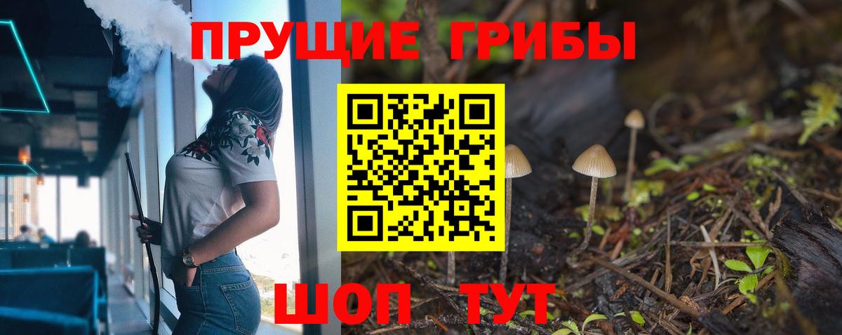 Псилоцибиновые грибы GOLDEN TEACHER Урай